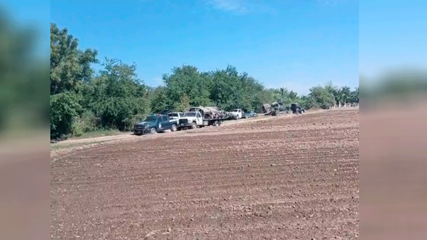 Hallan en Culiacán 'deshuesadero' de autos robados; autoridades aseguran alrededor de 50 vehículos