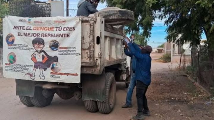 Navojoa: Familias de la comunidad de 'El Jopo' piden ayuda contra el dengue