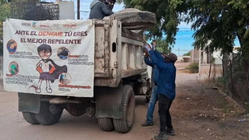 Navojoa: Familias de la comunidad de 'El Jopo' piden ayuda contra el dengue