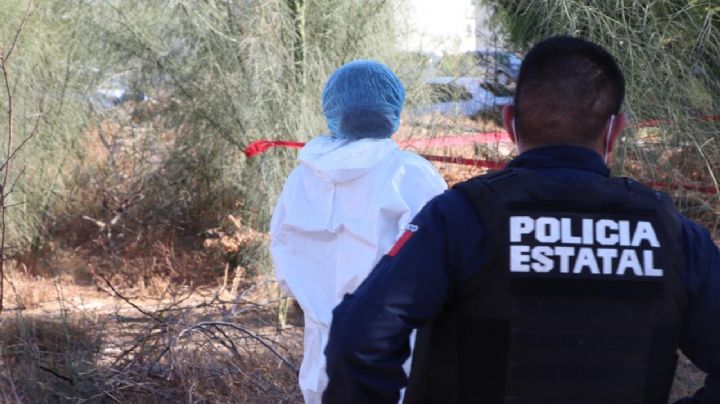 Restos humanos encontrados en el desierto de Sonora corresponden a hermanos desaparecidos