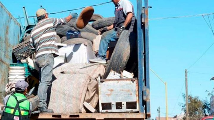 Ciudad Obregón refuerza acciones en hogares para prevenir dengue y eliminar criaderos de mosquitos