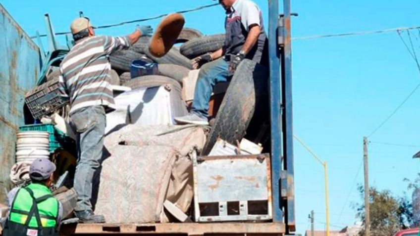 Ciudad Obregón refuerza acciones en hogares para prevenir dengue y eliminar criaderos de mosquitos