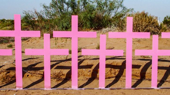 Femexci reporta 513 feminicidios en México previo al Día Internacional de la Eliminación de la Violencia contra la Mujer