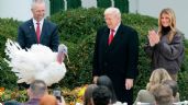 Foto ilustrativa de la nota titulada: Día de Acción de Gracias: Trump indulta a los pavos Gobble y Waddle e insulta a políticos adversarios