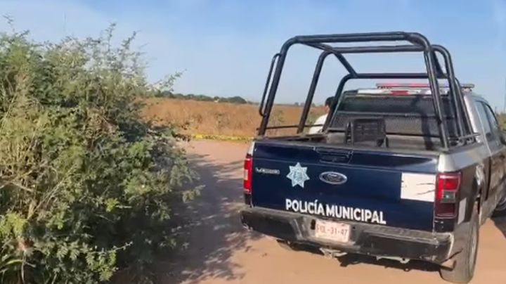 Violencia, al alza en Sinaloa: Descubrimiento macabro en el ejido Buenos Aires; hallan a mujer sin vida