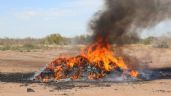 Foto ilustrativa de la nota titulada: Desde marihuana hasta cocaína: Destruyen casi media tonelada de sustancias ilícitas en Sonora