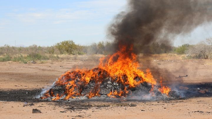 Desde marihuana hasta cocaína: Destruyen casi media tonelada de sustancias ilícitas en Sonora
