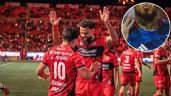 Foto ilustrativa de la nota titulada: Xolos busca dar un golpe sobre la mesa en la Liga MX y 'robar' el fichaje estrella a los Pumas