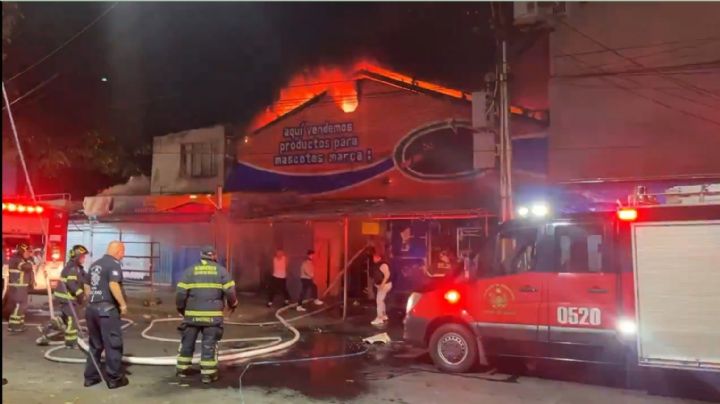 Fuego arrasa mercado de mascotas en la Morelos, CDMX; reportan daños y rescate de animales