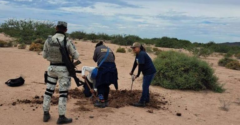 Terror en la costa de Hermosillo: Nuevamente encuentran restos óseos en El Choyudo