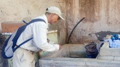 Secretaría de Salud de Sonora aumenta las acciones contra el dengue en Guaymas y Etchojoa