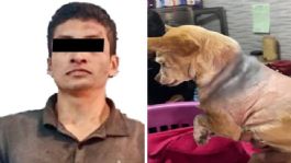 Foto que representa a VIDEO: Cae sujeto que atacó a perrita con machete en Edomex; el animal logró sobrevivir