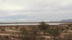 HELADAS y bajas temperaturas: Así será el CLIMA Sonora HOY 14 de diciembre MAÑANA, TARDE Y NOCHE