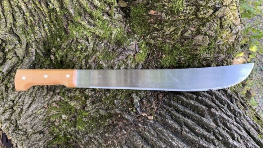 Intento de FEMINICIDIO en Chiapas: Sujetos ATACAN con MACHETE a 2 mujeres; así los capturaron