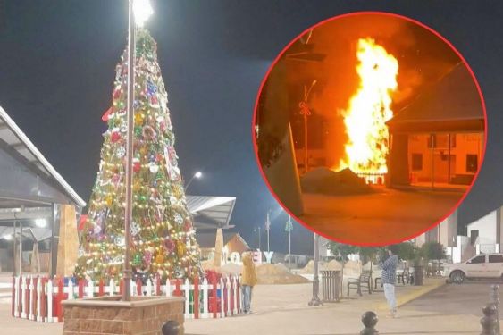 FUERTES IMÁGENES: Voraz INCENDIO destruye árbol de Navidad en Palacio Municipal de Sonora