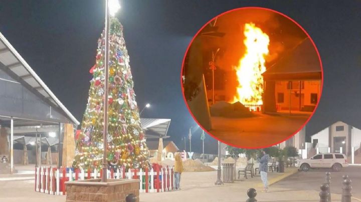 FUERTES IMÁGENES: Voraz INCENDIO destruye árbol de Navidad en Palacio Municipal de Sonora