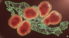 'Súper gripa' en México: Salud descarta emergencia por influenza H3N2; pide VACUNARSE