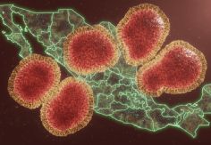 Foto ilustrativa de nota Súpergripe en México: Salud descarta emergencia por influenza H3N2; pide VACUNARSE