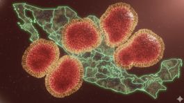 Foto que representa a 'Súper gripa' en México: Salud descarta emergencia por influenza H3N2; pide VACUNARSE