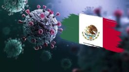 Foto que representa a Secretaría de Salud descarta emergencia sanitaria por influenza H3N2: Esto y más en Tribuna Top 3 México