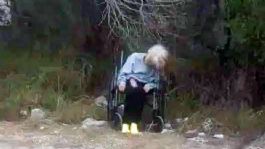 Foto que representa a Desmayada y en silla de ruedas: Abandonan a mujer de la tercera edad en brecha de Tamaulipas