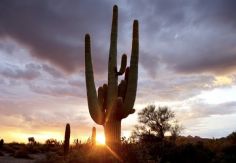 Foto ilustrativa de nota Clima en Sonora HOY: Así serán las TEMPERATURAS este miércoles 17 de diciembre
