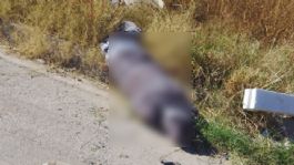 Foto que representa a Activan CÓDIGO ROJO en Hermosillo: Descubren cadáver de hombre encobijado en la colonia Solidaridad