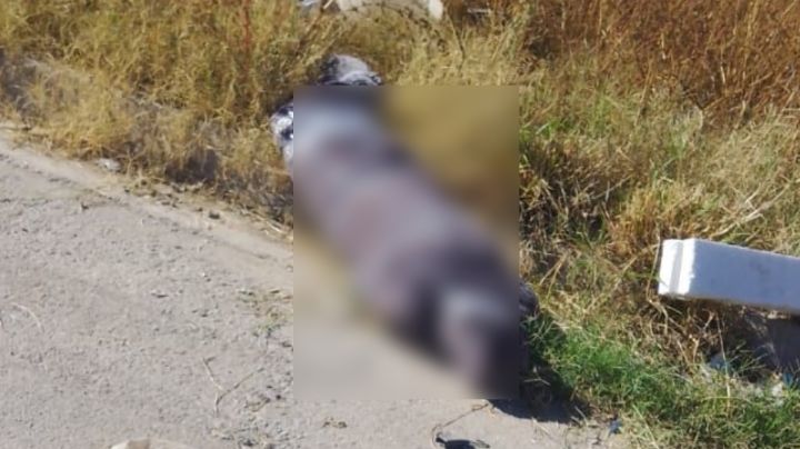 Activan CÓDIGO ROJO en Hermosillo: Descubren cadáver de hombre encobijado en la colonia Solidaridad