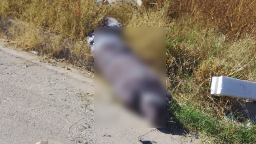 Activan CÓDIGO ROJO en Hermosillo: Descubren cadáver de hombre encobijado en la colonia Solidaridad