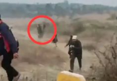Foto ilustrativa de nota VIDEO: Elefante ataca a turistas tras intentar tomarse una selfie con él; hay una persona muerta