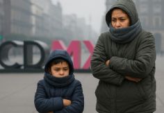 Foto ilustrativa de nota Activan ALERTA AMARILLA en alcaldías de la CDMX: Pronostican frío intenso este VIERNES 19 de diciembre