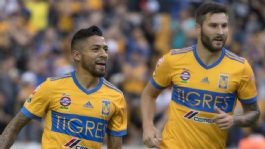 Foto que representa a ¡Último baile! Tigres renueva a jugador veterano con gran palmarés para buscar el título de la Liga MX