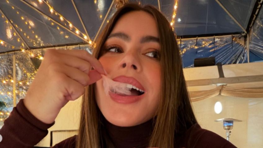 Nuevo romance en Hollywood: Sofía Vergara hace oficial su relación con un hombre 14 años menor