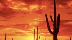 Clima en Sonora HOY 2 de diciembre: Frío al amanecer, calor por la tarde y vientos FUERTES