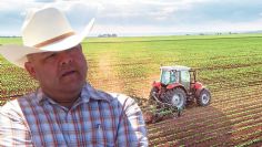 Retoman apoyos agrícolas para el Valle del Yaqui; destaca avances para el campo sonorense