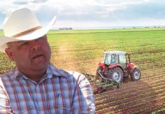 Foto ilustrativa de nota Retoman apoyos agrícolas para el Valle del Yaqui; destaca avances para el campo sonorense