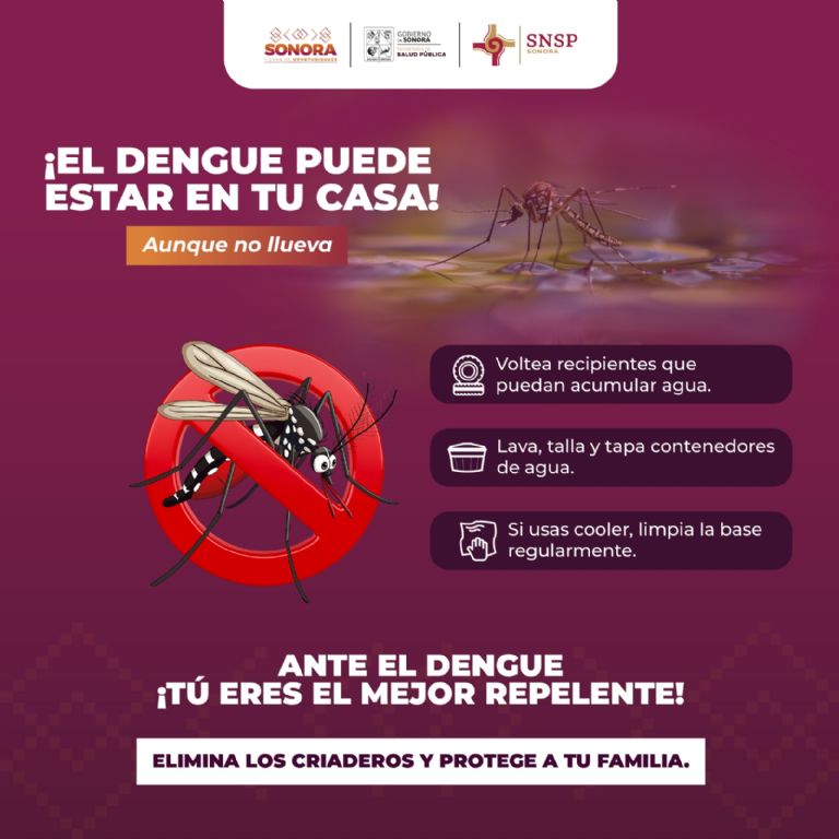 Presupuesto 2026: Guaymas no tendrá aumento de impuesto, afirma tesorero municipal