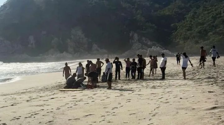 Tragedia en Oaxaca: Pequeña de solo 10 años muere ahogada tras ser arrastrada por el mar