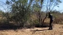 Foto que representa a Localizan cuerpo en avanzado estado de putrefacción a espaldas del aeropuerto de Hermosillo