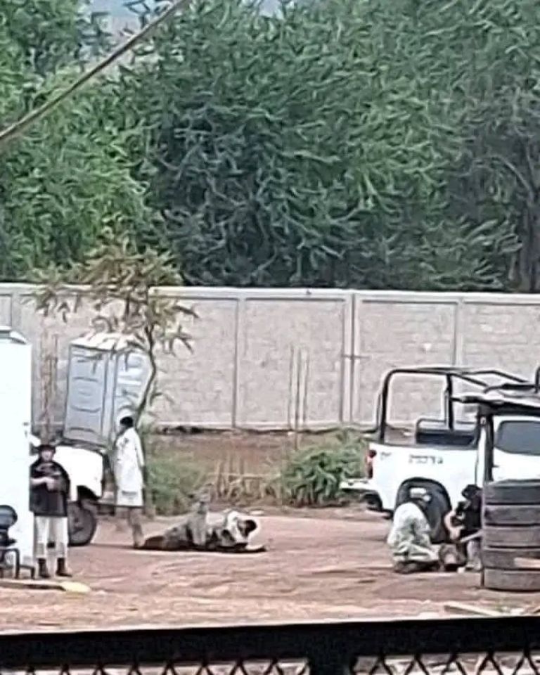 A tiros, elemento de la Guardia Nacional ASESINA a dos compañeros en Michoacán