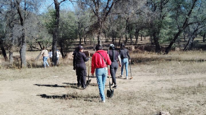 Descubren fosa clandestina en predio de Nogales; contenía los restos óseos de una persona