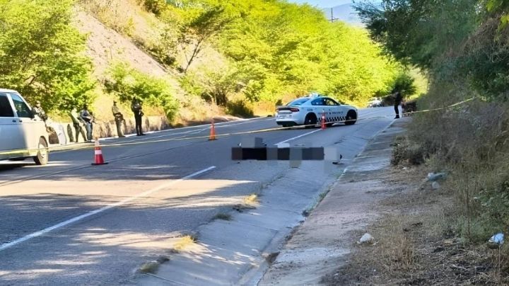 Masacre en Sinaloa: Hallan cinco cuerpos sin vida a un costado de la autopista Durango–Mazatlán