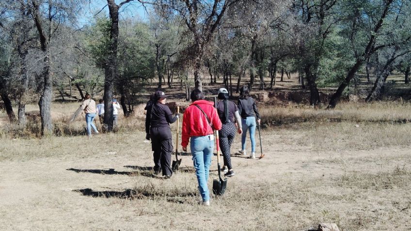 Descubren fosa clandestina en predio de Nogales; contenía los restos óseos de una persona