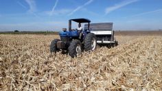 Sonora: Autorizan permisos de 38 mil hectáreas para el Valle del Mayo y Fuerte Mayo