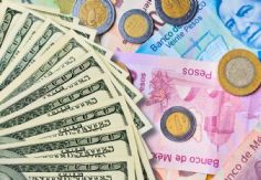 Foto ilustrativa de nota Precio del dólar en México HOY martes 9 de diciembre de 2025: ¿Cómo amaneció el tipo de cambio?