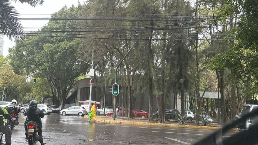 Clima en CDMX 12 de febrero: Se esperan altas temperaturas ¿A qué hora lloverá Hoy?