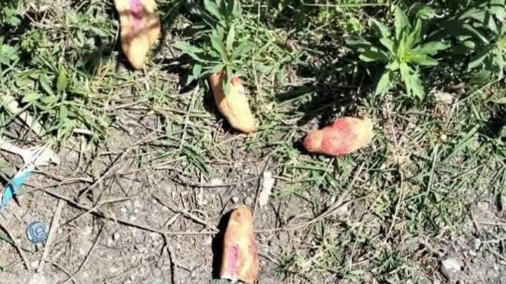 Caen Martín y Bartolo por la muerte de tres menores en Chiapas; comieron panes envenenados