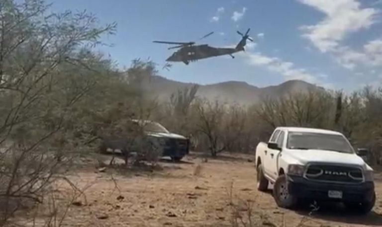 La detención se realizó durante recorridos de vigilancia aéreos