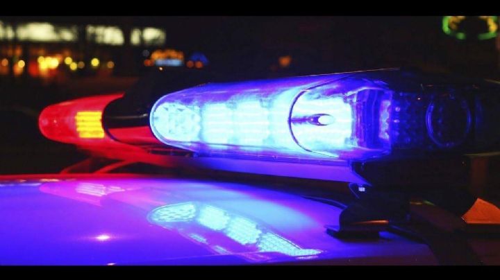 Hallan cuatro cuerpos en fosas clandestinas en Nogales; suman siete en 2025