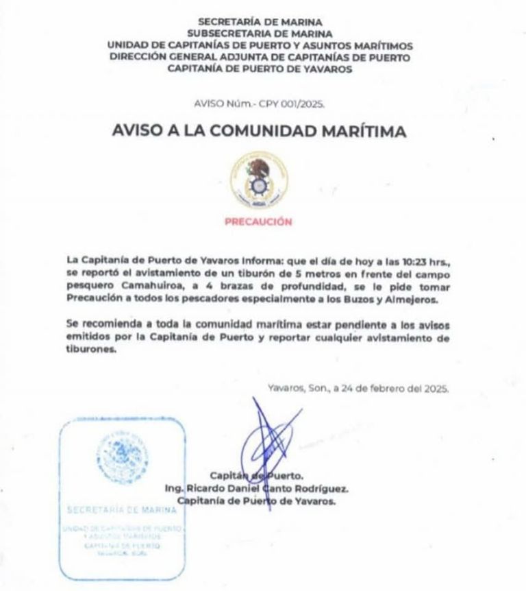 Alertan por la presencia de un tiburón